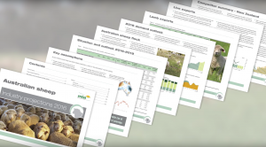 Screengrab from MLA Sheep Projections